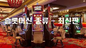 무료 카지노 보너스 가이드 현명하게 활용하는 방법